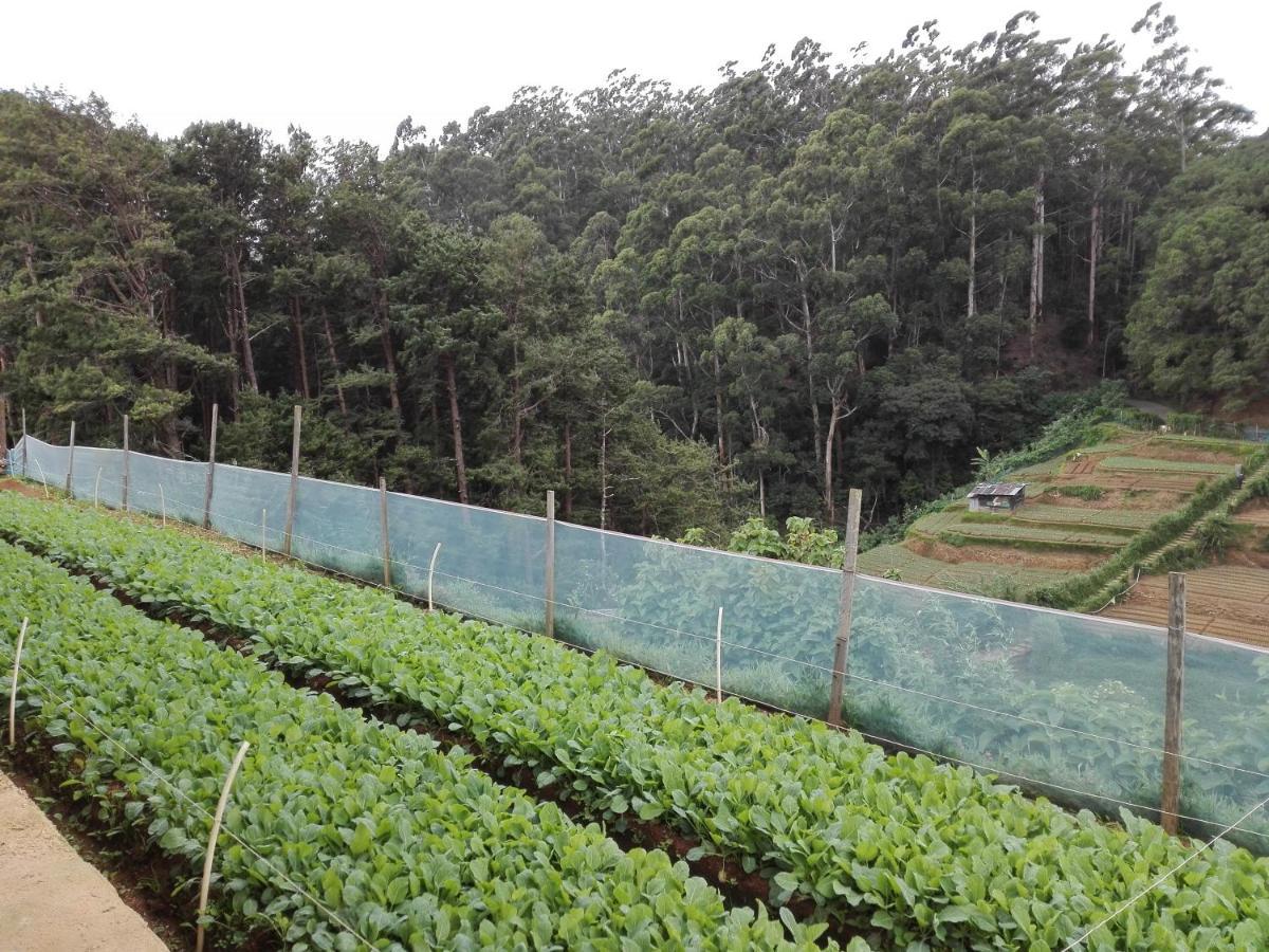 Keshiya Holiday Home Nuwara Eliya Exteriér fotografie